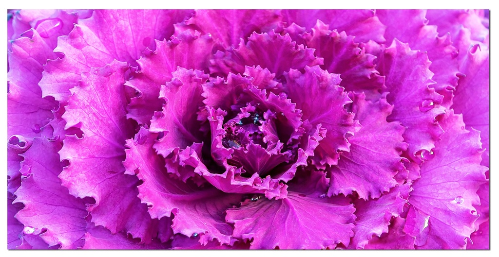 Mezzo 95.5" x 31.5" acrylic color painting Wall Art
