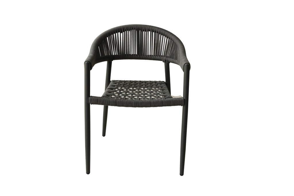 Leyla Indoor/Outdoor Dining Stackable Chair