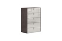 Berlin Chest Drawers